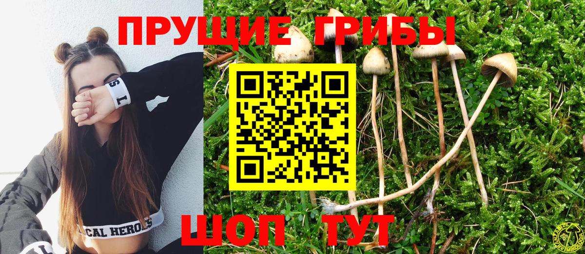 Галлюциногенные грибы Cubensis Кызыл